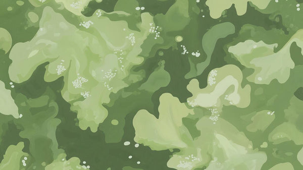 variant:A0270 | Coups de Pinceau Vert Sauge — papier peint sur mesure Novomur