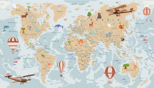 variant:C0815 | Carte du Monde Gris Perle — papier peint sur mesure Novomur