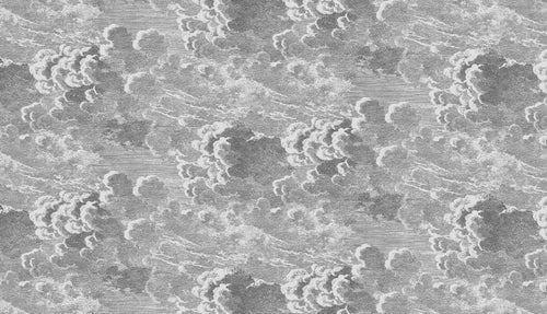 variant:D0313 | Marbre Gris Perle — papier peint sur mesure Novomur