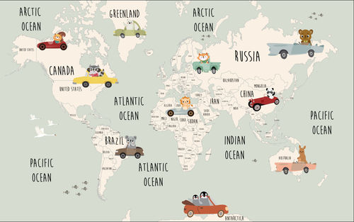 variant:SD0718 | Carte du Monde Gris Perle — papier peint sur mesure Novomur