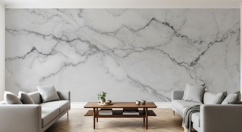 variant:C0964 | salon_10_panoramic_sym — Marbre Nero Marquina — papier peint Novomur