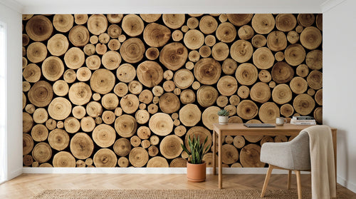 Design C0959 — Papier peint Bois Rustique Brun - Collection 2 — Novomur