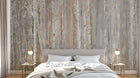 Design SD0401 — Papier peint Forêt Bouleaux — Novomur
