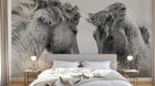 Design ZX0405 — Papier peint Chevaux — Novomur