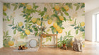 Design A0178 — Papier peint Fruits Agrumes - Collection 1 — Novomur