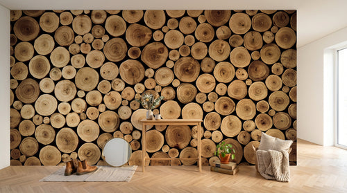 Design C0959 — Papier peint Bois Rustique Brun - Collection 2 — Novomur