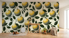 Design F0994 — Papier peint Fruits Agrumes - Collection 2 — Novomur