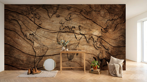 Design SD0142 — Papier peint Carte du Monde — Novomur