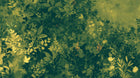 Design A0044 — Botanique Feuillage - Collection 1 — design seul — Novomur