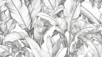 Échantillon, Design A0058, Papier peint panoramique Palmier Tropical Noir et Blanc - Sur mesure