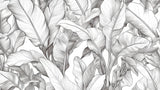 Échantillon Papier peint Palmier Tropical Noir et Blanc - Sur mesure — A0058
