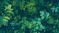 Échantillon, Design A0075, Papier peint panoramique Botanique Feuillage - Collection 1 - Sur mesure