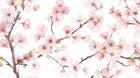 Design A0080 — Cerisier Rose — design seul — Novomur