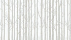 Design A0083 — Forêt Bouleaux — design seul — Novomur