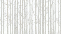 Échantillon, Design A0083, Papier peint panoramique Forêt Bouleaux - Sur mesure