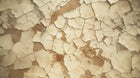 Design A0131 — Paysage Désert et Cactus — design seul — Novomur