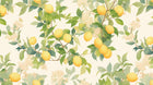 Papier peint Fruits Agrumes Beige - Sur mesure - Design A0178