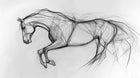 Design A0208 — Chevaux — design seul — Novomur