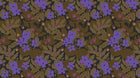 Design A0243 — Liberty Floral Ditsy - Collection 1 — design seul motif grand — Novomur
