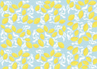 Design A0321 — Fruits Agrumes - Collection 1 — design seul — Novomur