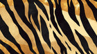 Design A0328 — Jungle Enfant Tigre & Singes — design seul — Novomur