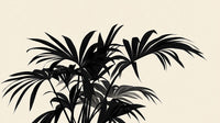 Échantillon, Design A0454, Papier peint panoramique Palmier Tropical Noir et Blanc - Sur mesure