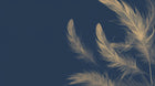 Design A0523 — Plumes — design seul — Novomur