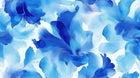 Design A0602 — Floral Petites Fleurs — design seul — Novomur