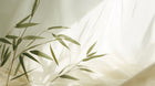 Design A0654 — Bambou — design seul — Novomur