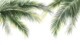 Échantillon Papier peint Palmier Tropical Vert - Collection 4 - Sur mesure — A0838