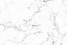 Design C0777 — Marbre Blanc Classique - Collection 1 — design seul — Novomur