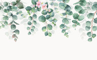 Échantillon, Design C0828, Papier peint panoramique Eucalyptus Botanique Sauge - Sur mesure