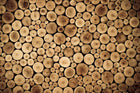 Design C0959 — Bois Rustique Brun - Collection 2 — design seul — Novomur