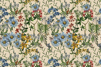 Échantillon, Design D0220, Papier peint panoramique Coquelicots et Fleurs Sauvages - Sur mesure