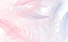 Design D0378 — Plumes — design seul — Novomur