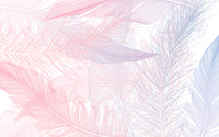 Échantillon, Design D0378, Papier peint panoramique Plumes - Sur mesure