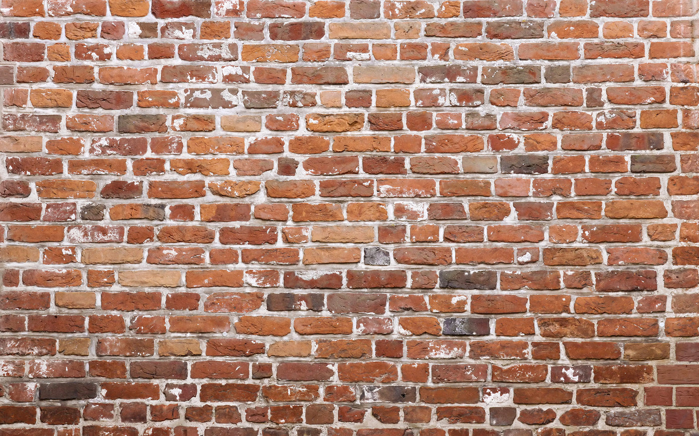 Papier peint design E0753