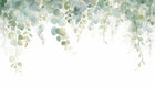 Design F0714 — Eucalyptus Botanique Sauge — design seul — Novomur