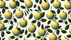 Design F0994 — Fruits Agrumes - Collection 2 — design seul — Novomur