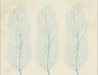 Design FC153B — Papier peint Arbres stylises corail bleu fond beige — Novomur