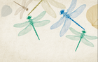 Design FC213 — Papier peint Libellules style gravure entomologique — Novomur