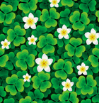 Design FC482 — Papier peint Trefles vert vif et frangipaniers blancs — Novomur