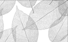 Design FC627 — Papier peint Feuilles transparentes nervurees gris — Novomur