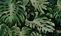 Échantillon, Design L0376, Papier peint panoramique Palmier Tropical Vert - Collection 1 - Sur mesure