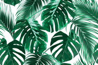 Échantillon, Design L0859, Papier peint panoramique Palmier Tropical Pop Art Vif - Sur mesure