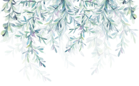 Échantillon, Design L0892, Papier peint panoramique Eucalyptus Botanique Sauge - Sur mesure