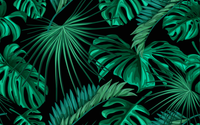 Échantillon, Design L0944, Papier peint panoramique Palmier Tropical Vert - Collection 4 - Sur mesure