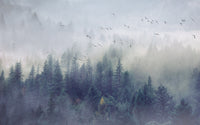 Échantillon, Design SD0325, Papier peint panoramique Forêt Pins et Sapins - Collection 1 - Sur mesure