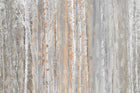 Design SD0401 — Forêt Bouleaux — design seul — Novomur
