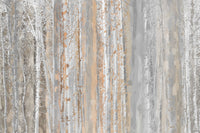 Échantillon, Design SD0401, Papier peint panoramique Forêt Bouleaux - Sur mesure